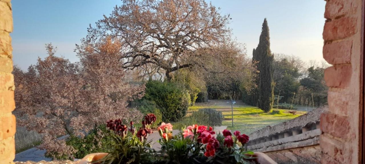 Il Casale Di Sandra Chiusi Luaran gambar