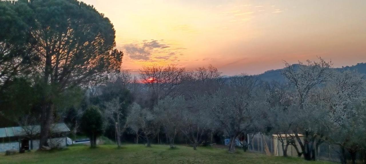 Il Casale Di Sandra Chiusi Luaran gambar