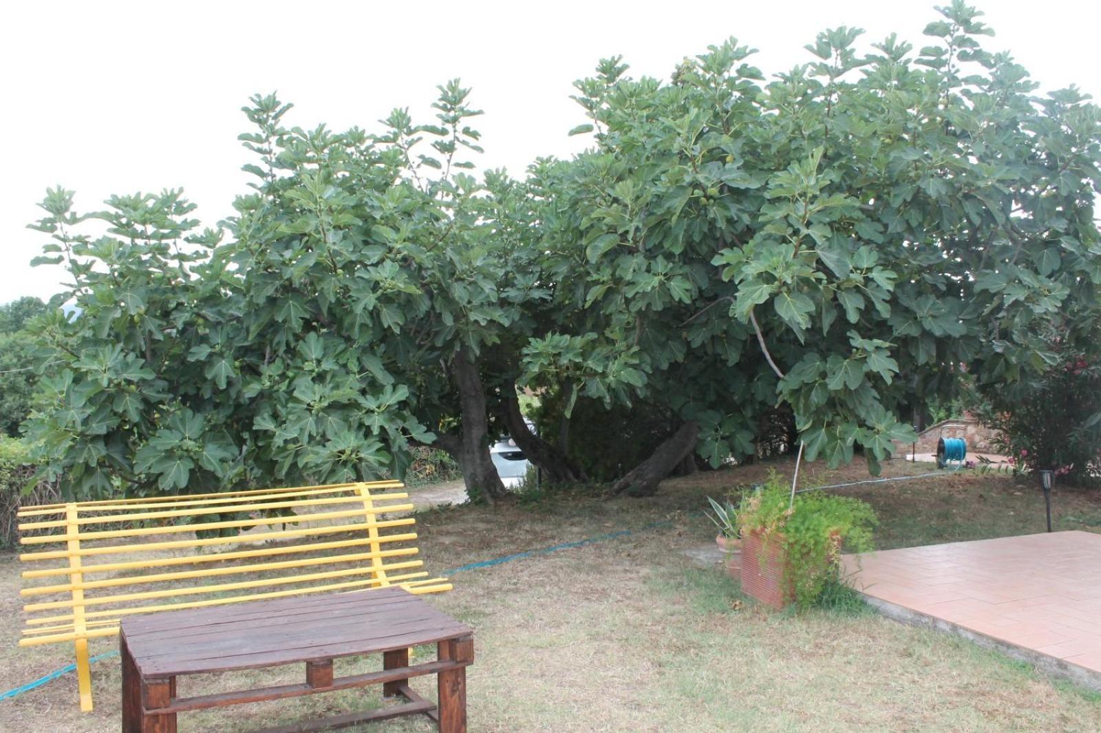 Il Casale Di Sandra Chiusi Luaran gambar