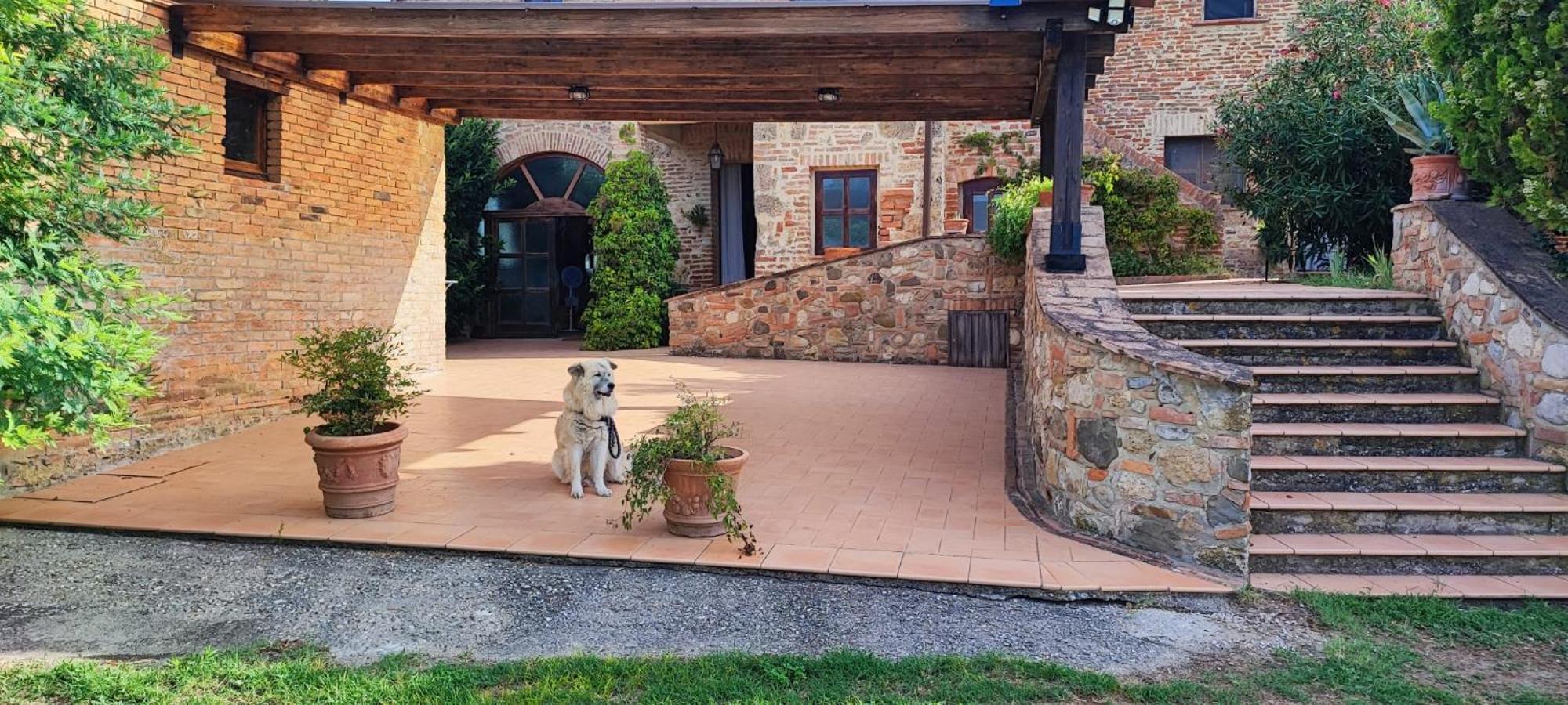 Il Casale Di Sandra Chiusi Luaran gambar